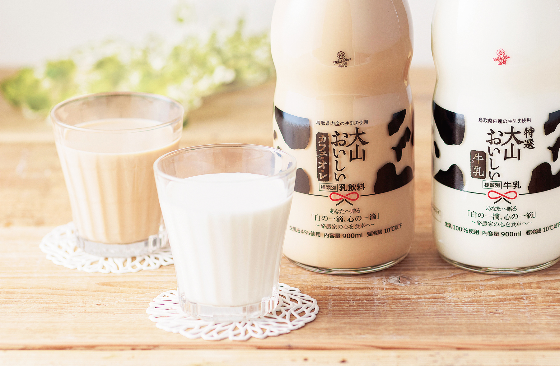 毎日使う白バラ」をセレクト！定番セットがリニューアル「牧場の味わい 