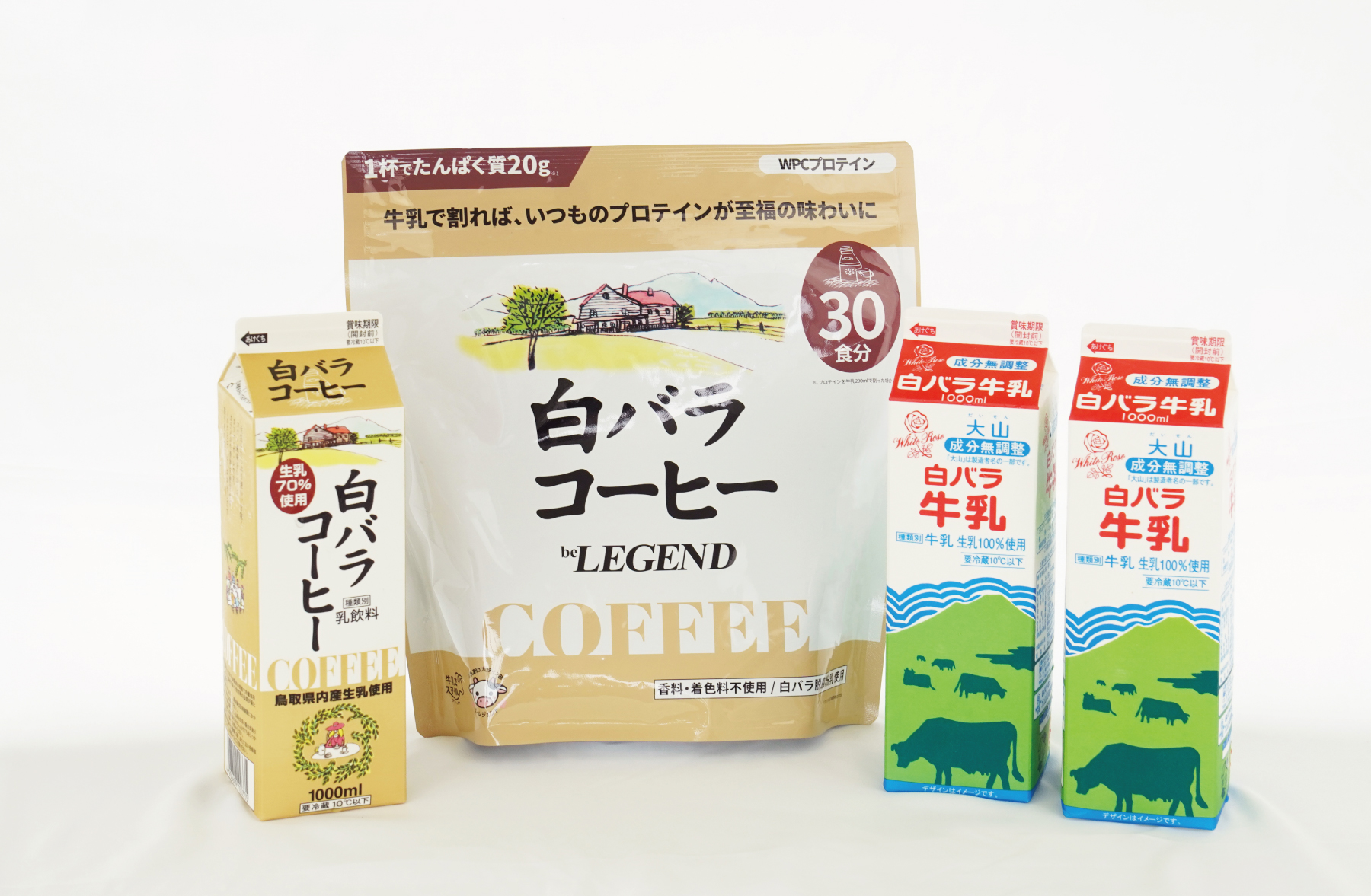 プロテイン×牛乳で健康な毎日を！ 白バラコーヒー風味のプロテインが 